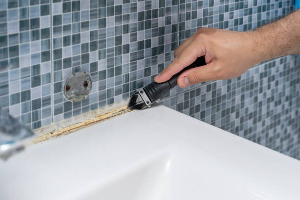 Best Kitchen Mold Remediation in Rosemont, PA